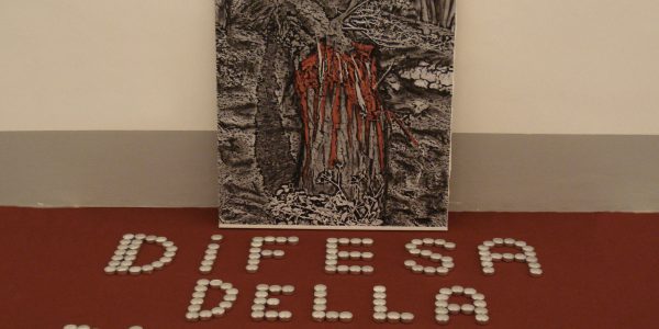 Made in Sicily, Reale Albergo delle Povere Palermo, a cura di N. D’Alessandro 2011