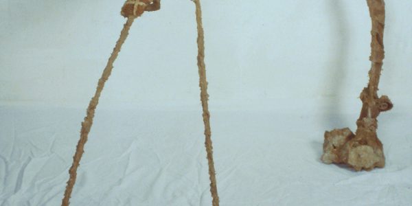 Anima animale, materiali naturali, cm. 88x175x43, 1987.