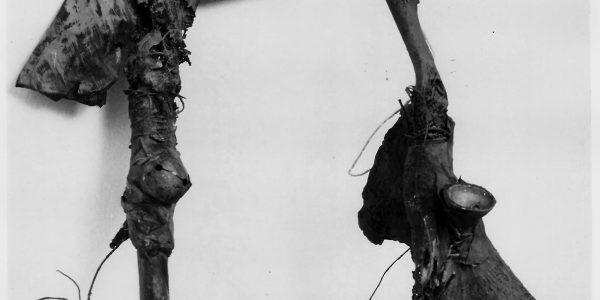 Sculture sonanti,  cm. 30x9x5 ca, 1988.