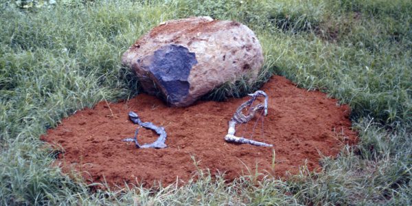 Lampare, bosco torrente Macchia (CT), 1990, a cura di Giuseppe Frazzetto.