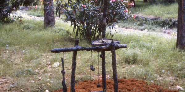 Lampare, bosco torrente Macchia (CT), 1990, a cura di Giuseppe Frazzetto.