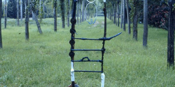 Lampare, bosco torrente Macchia (CT), 1990. A cura di Giuseppe Frazzetto
