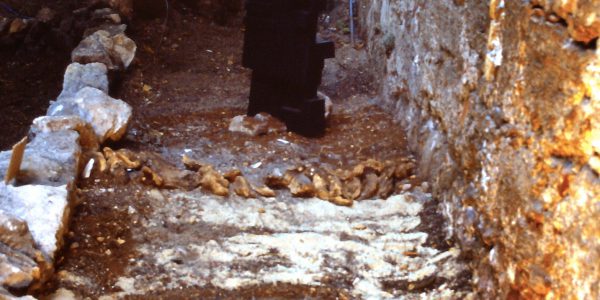 Un’idea dell’arte in Sicilia, ex convento dello Spirito Santo, 1994, a cura di Fiumara d’Arte, Palermo.
