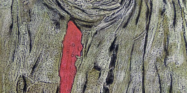 Ferito, acrilico e carboncino su carta telata, cm. 86,5×65,  2015