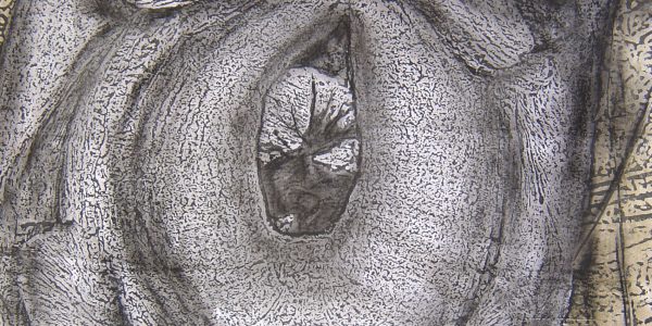 Occhio, acrilico e carboncino su carta telata, cm.79,9 x 59,4, 2010.