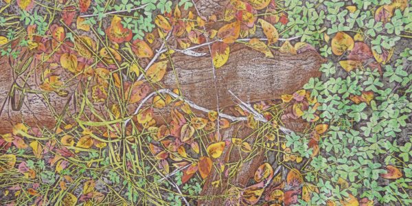 Dicembre, acrilico e carboncino  su carta telata, cm.38×51, 2016.