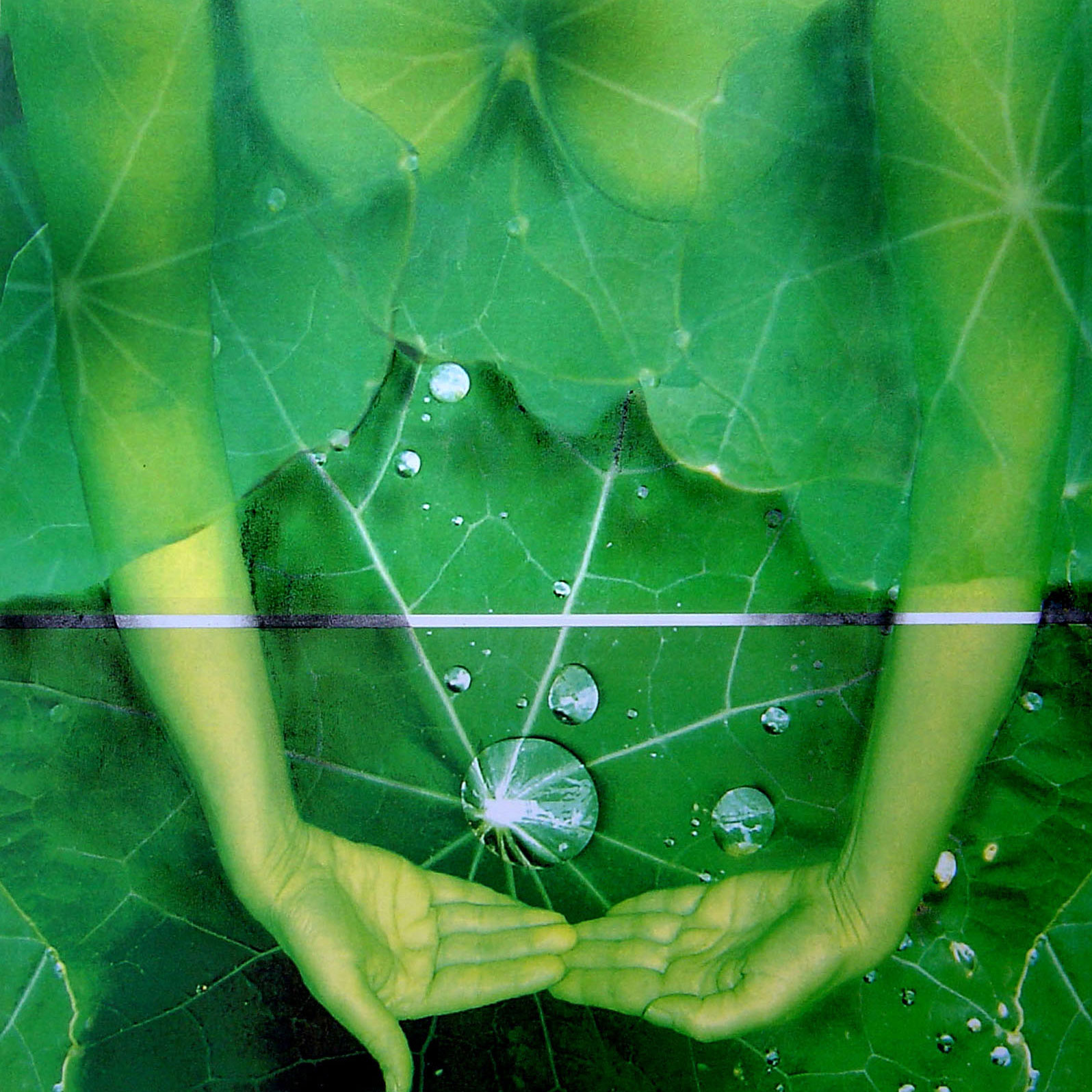 Ornella Fazzina, Residenze d’arte, ZAC, 2008