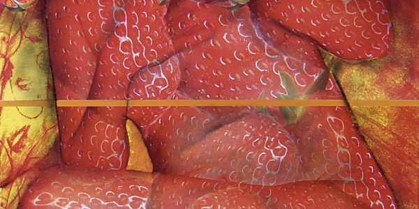 Donna fragola, carboncino su elaborazione digitale, cm. 40,8×41, 2008.