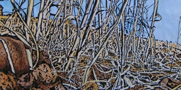 Estate secca, acrilico e carboncino  su carta telata, cm.60×80, 2014.