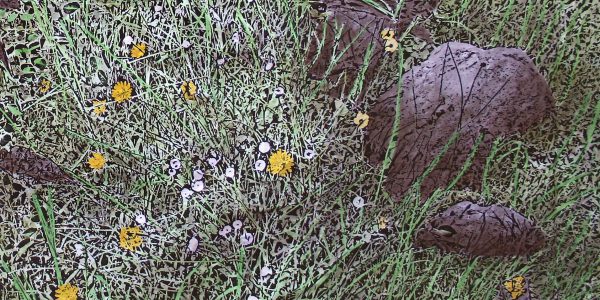Primavera, acrilico e carboncino su carta telata, cm.82×92,3, 2011.