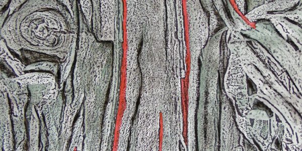 Scorticato, acrilico e carboncino su carta telata, cm.86,5×65, 2015.