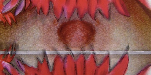 Seno fiore, carboncino su elaborazione digitale, 2007.