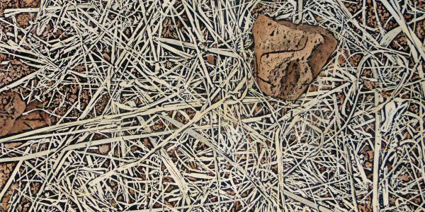 Tappeto Natura, acrilico e carboncino su carta telata, cm.79×105, 2014.