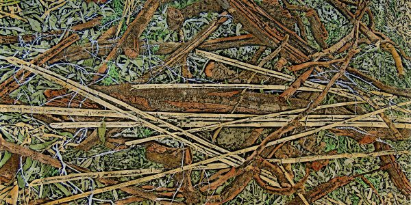 Tappeto natura III, acrilico e carboncino su carta telata, cm. 84×111, 2015.