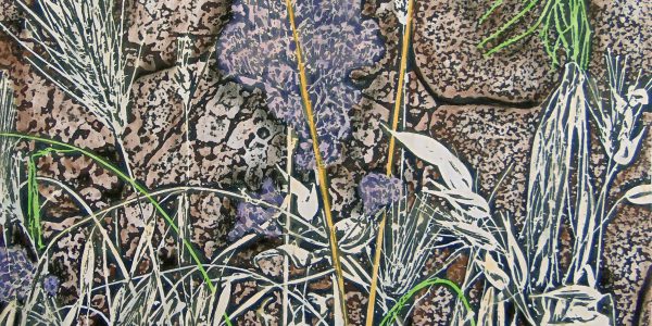 Valerianella, acrilico e carboncino su carta telata, cm.67,5×67,5, 2015.